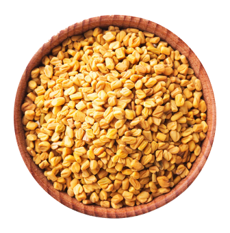 Fenugreek Seeds